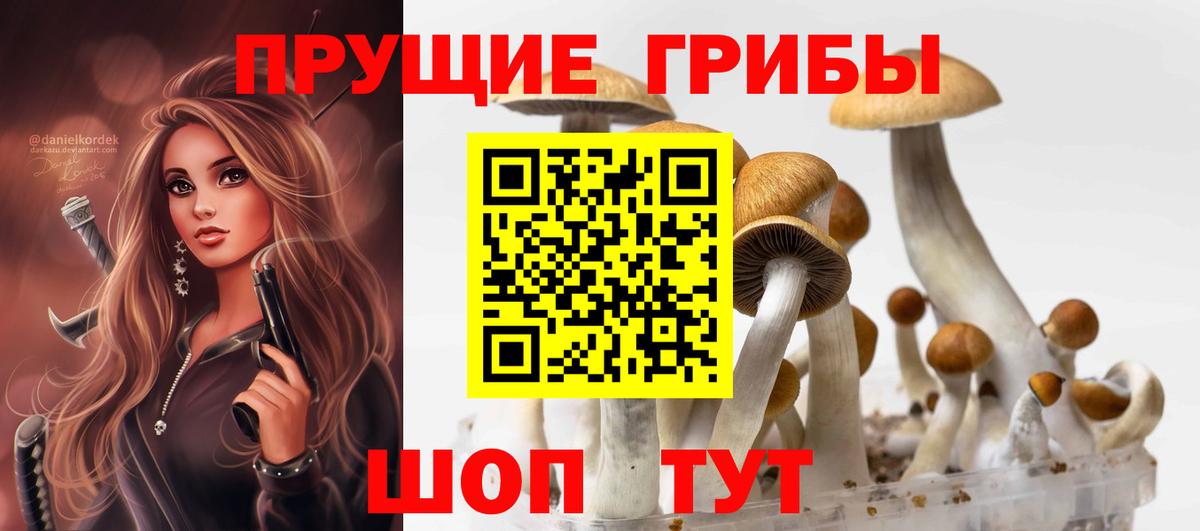 Псилоцибиновые грибы Magic Shrooms  Псилоцибиновые грибы Psilocybe  Вход с VPN  Тосно 